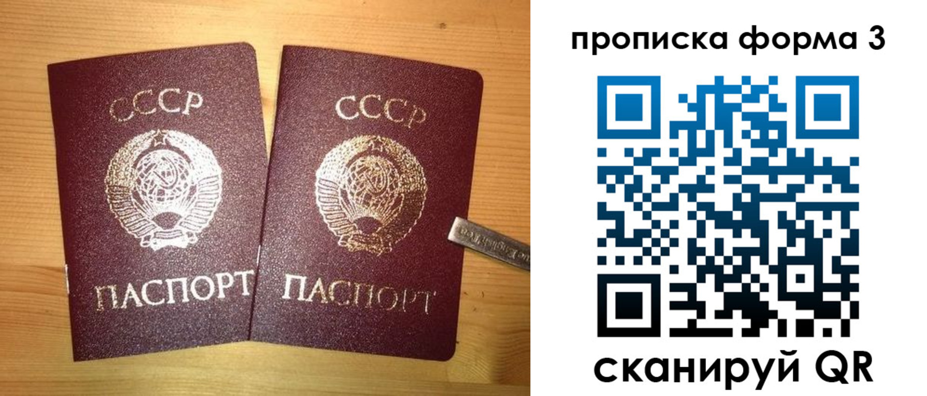 прописка иностранных граждан в Заполярном